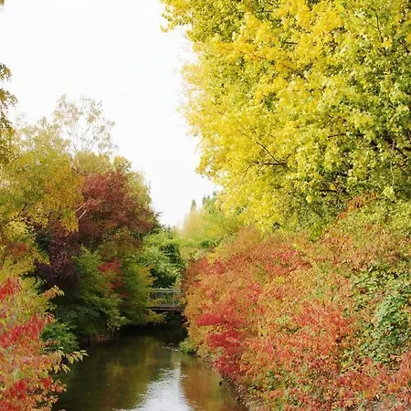 Taste Hotel Hockenheim