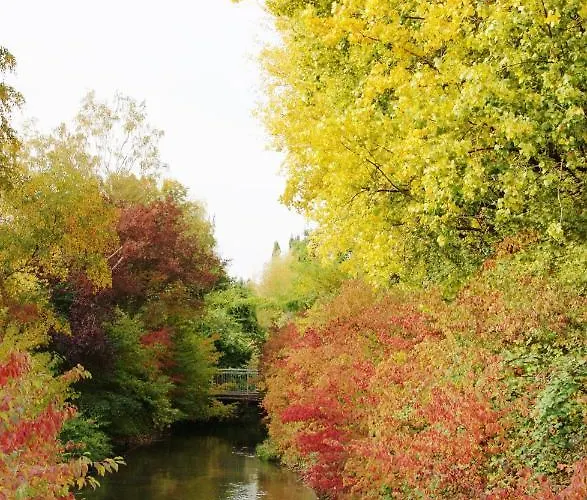 Taste ホテル ホッケンハイム